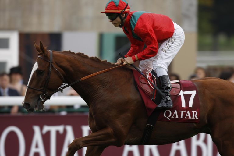 Ammerländer ist der weltweit erfolgreichste Black-Type-Stallion 2025