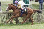 Hoppegarten: Erfolgreiches Flamingo Fantasy-Comback