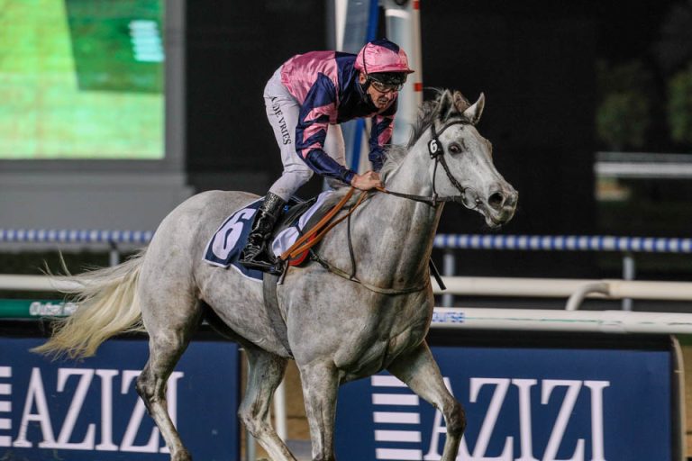 Lord Glitters Foto: emiratesracing.com