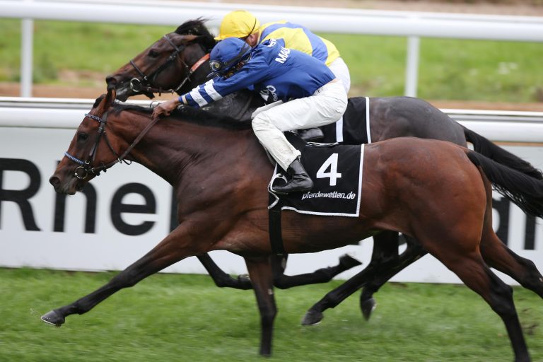 Lord Leoso siegt und wird verkauft