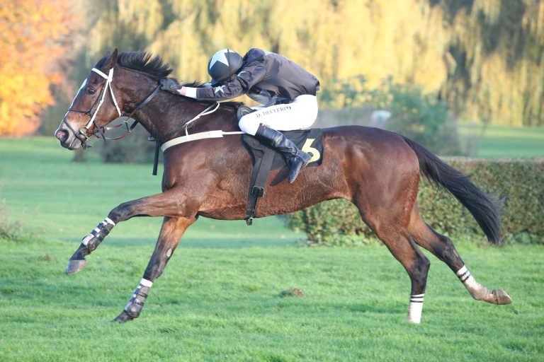 Lord Singer ist der letzte Grasbahn-Sieger 2014