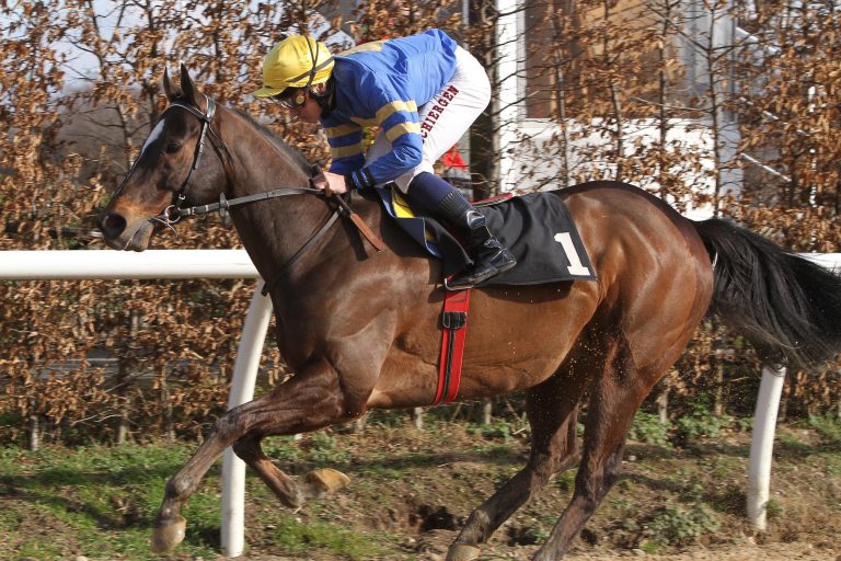 Jubiläumsrenntag am Sonntag in Karlsruhe