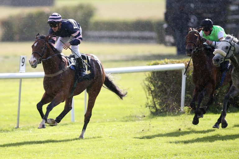 Bald in der SW: Geschichte von Los Campanos