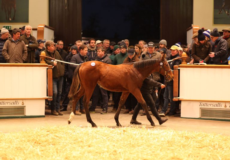 1,7 Millionen Guineas für Galileo-Tochter