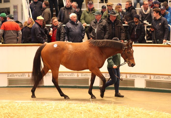lot_1528_tdm3723ctattersalls