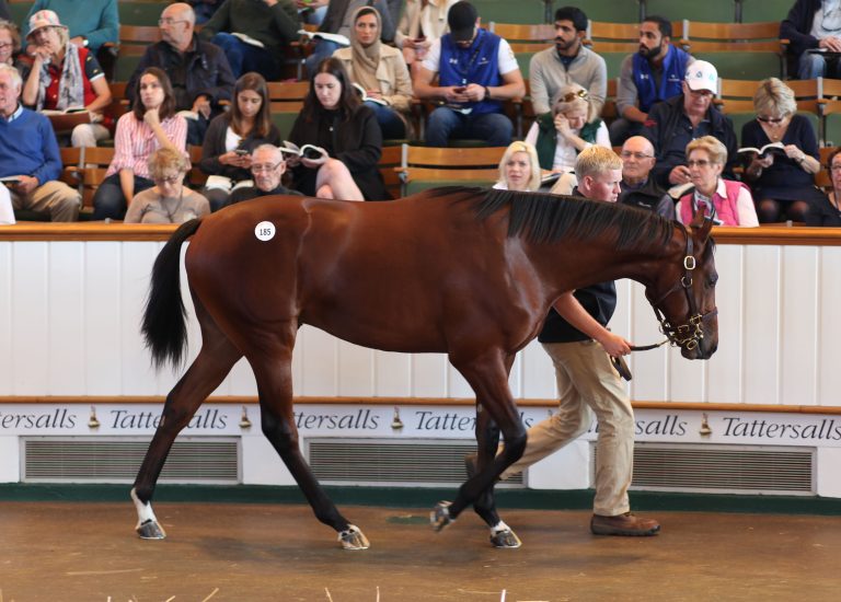 600,000 Guineas für Waldgeist-Halbbruder