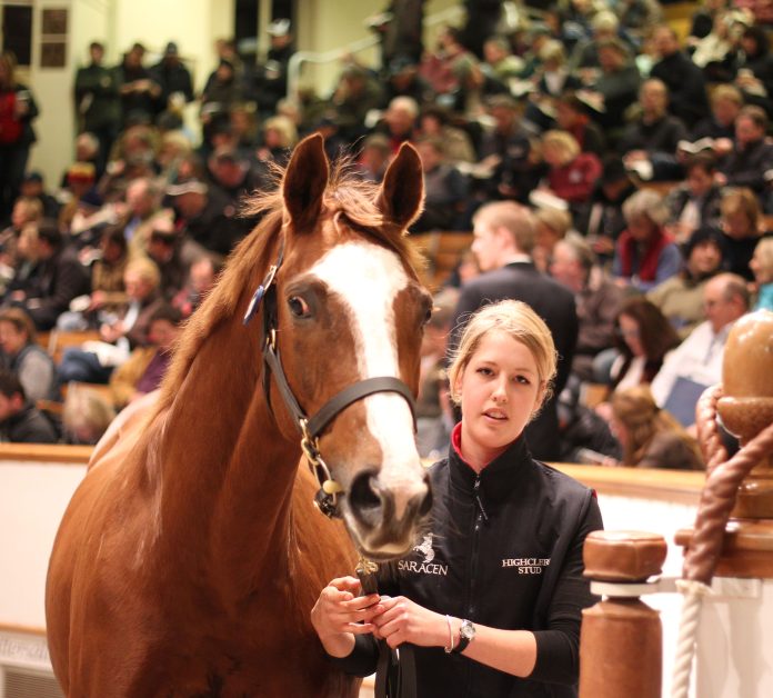 lot_2011_tdm_2097ctattersalls