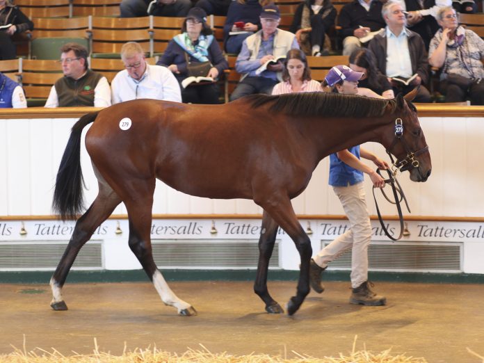 lot_279_tattersalls