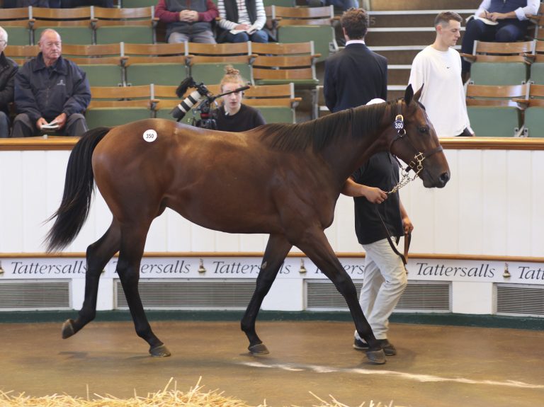 Elle Danzig-Enkel bringt 900.000 Guineas