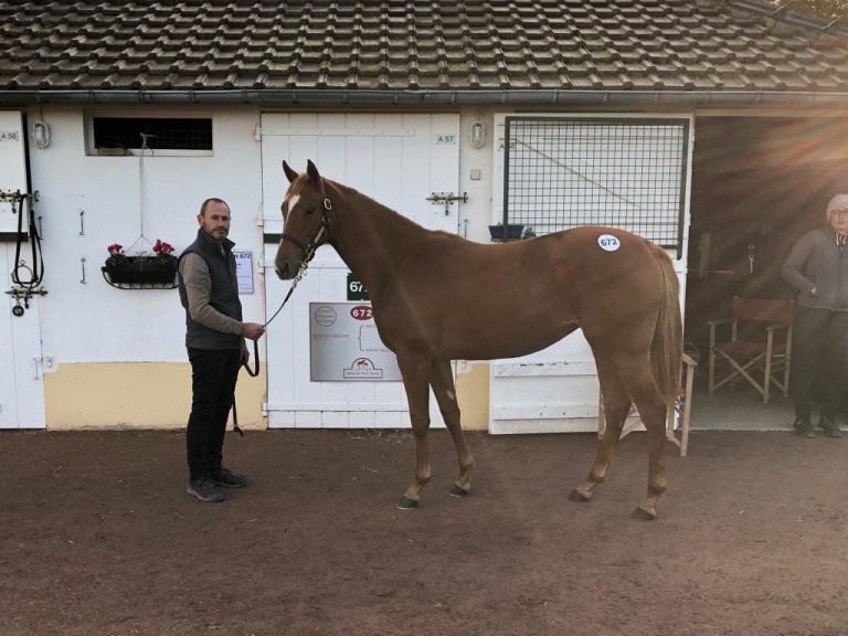 Shining Yellow war der zweite GTM-Kauf am Freitag