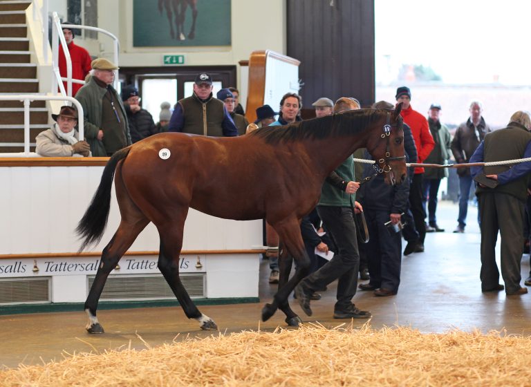 Trainer John Gosden sorgt für Top-Seller