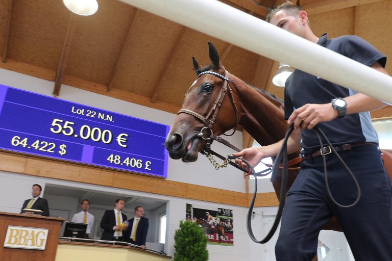 Umsatzsteigerung bei BBAG Frühjahrs-Auktion