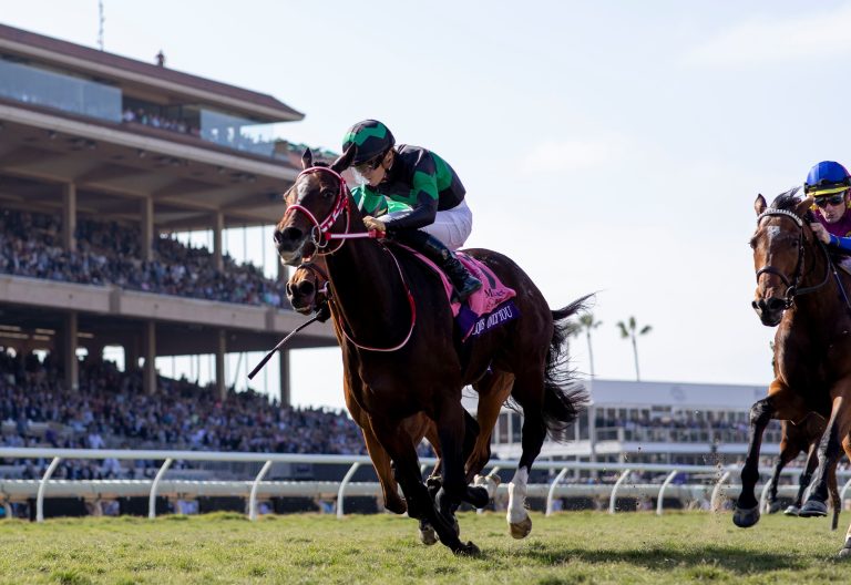 22 Gruppe I-Sieger bei den „International Races“