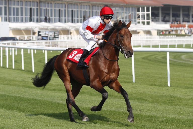 Trainer-Championat: Klug setzt sich weiter ab