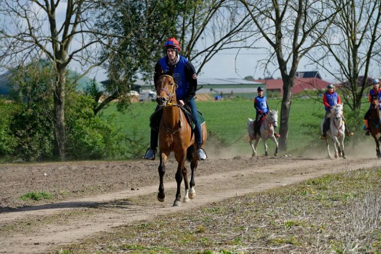 Ein Araber auf weiten „Abwegen“