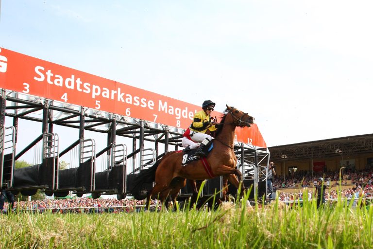 Magdeburg: Schnelles Wiedersehen mit Marmara Star?