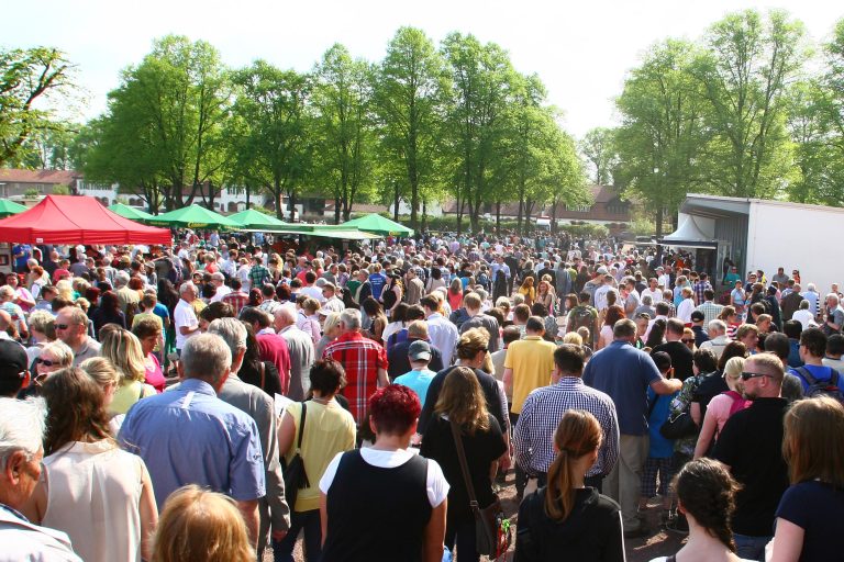 Sport-Welt TV Wett-Check für heute Magdeburg