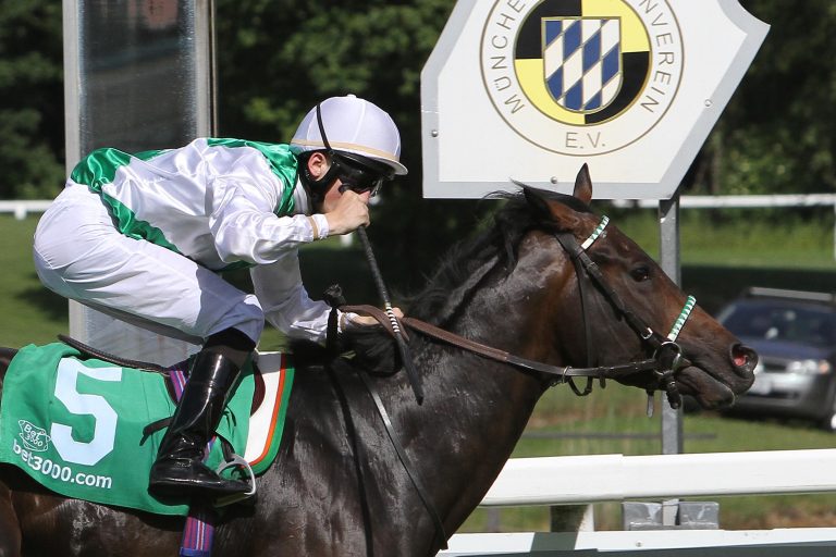 Magic Artist trifft voraussichtlich auf 15 Gegner