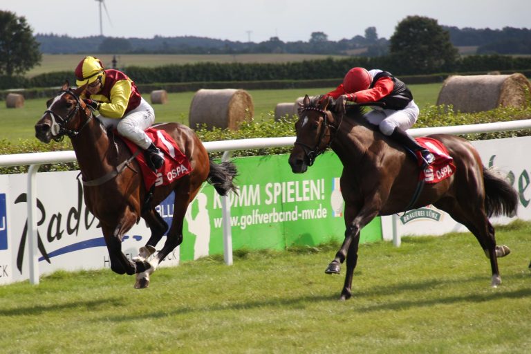 Sieben Rennen am Mittwoch in Bremen
