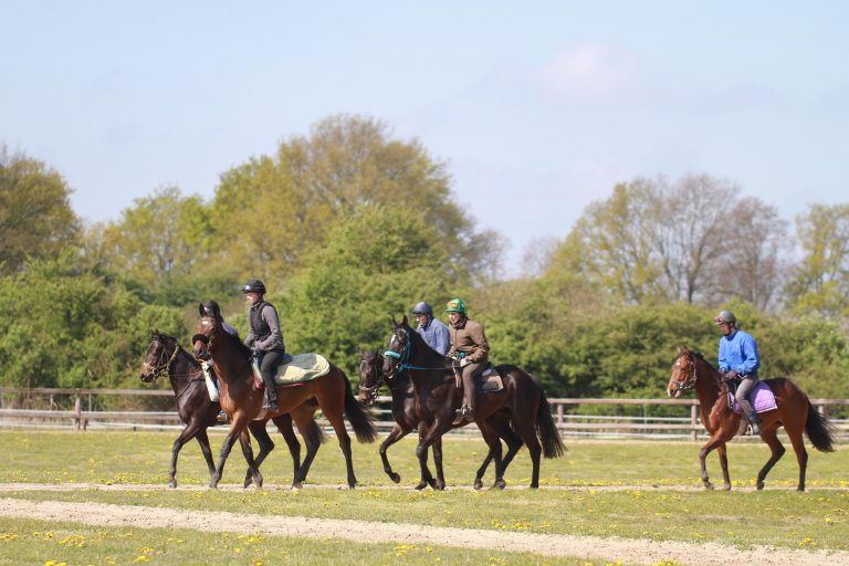 Wird Trainingsanlage in Mahndorf privatisiert?