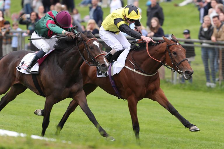 Main Edition entführt 1000 Guineas wieder nach England