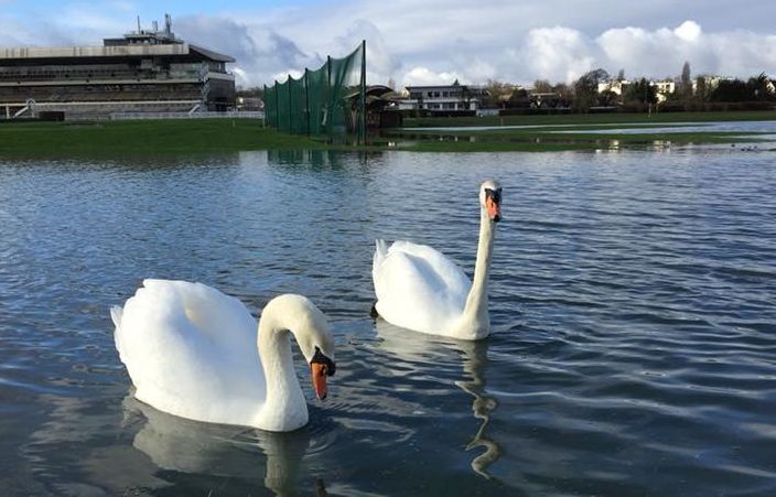 Au revoir Maisons-Laffitte: France Galop schließt Bahn