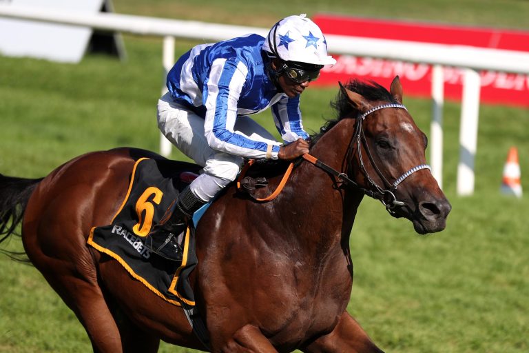 Majestic Colt (Archiv)