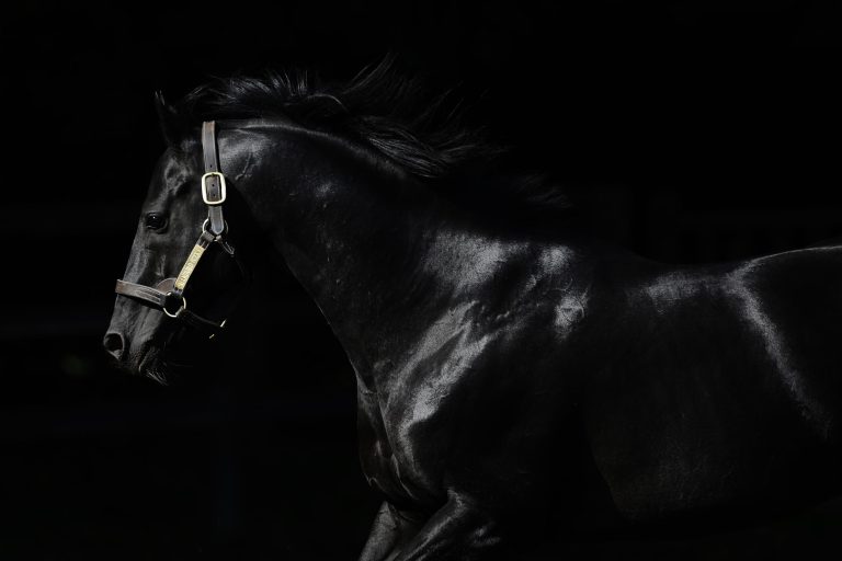 Shamardal-Tochter Romantic View Zweite in Ascot