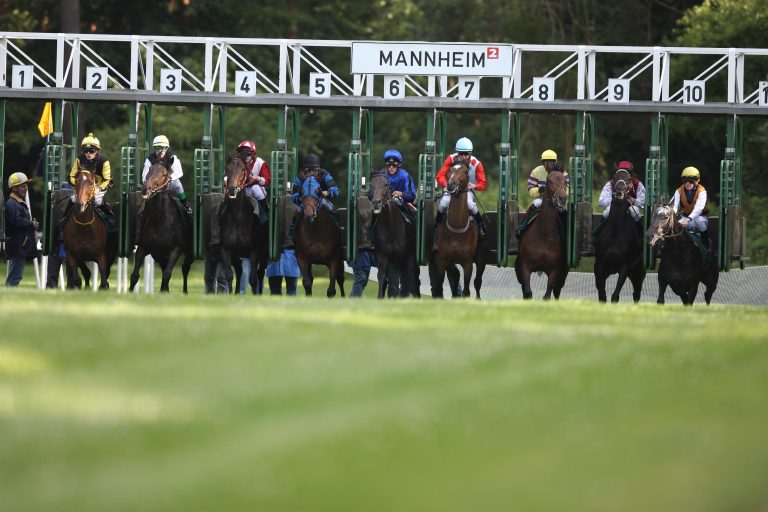 Mannheim am 6. April: Ein Nichtstarter und ein Reiterwechsel