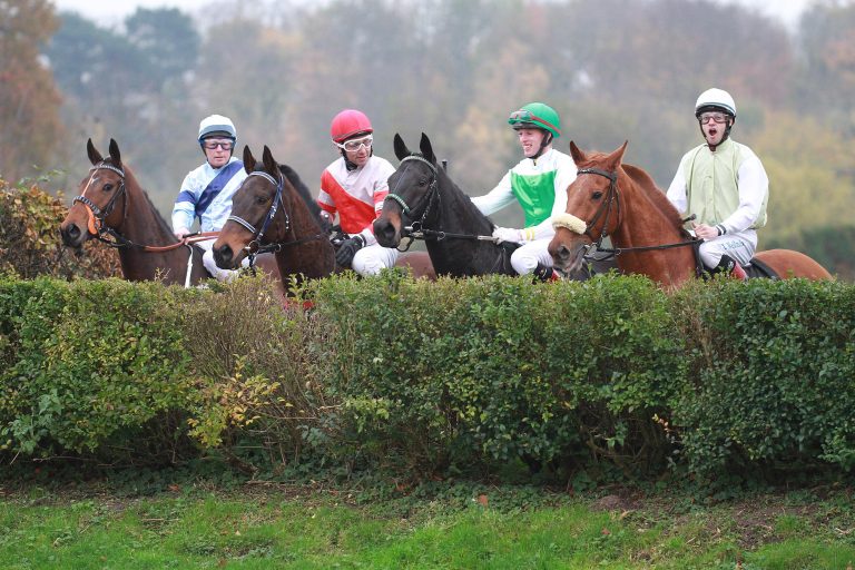 Gold Cup und „National“ für Many Clouds?