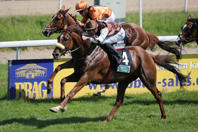 Marlot in Wambel gleich hellwach