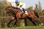 Drei deutsche Pferde sind beim Cagnes-Auftakt dabei