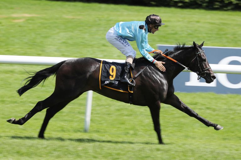 Mascha am Montag bei der Arqana Online-Auktion