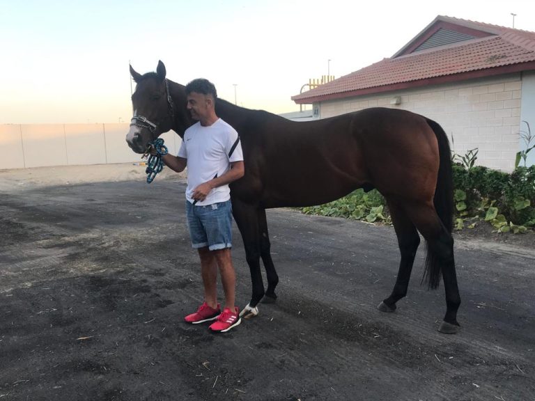 Adel Massaad und Jaarim