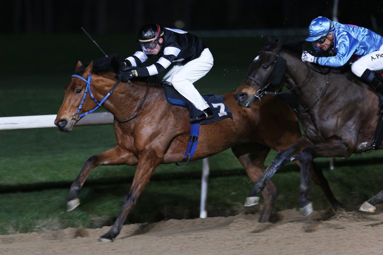 Master Dan, der Master von Wambel