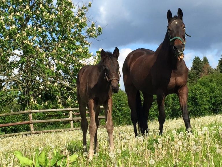 Silvanos Mutter brachte mit 29 Maxim das Leben bei
