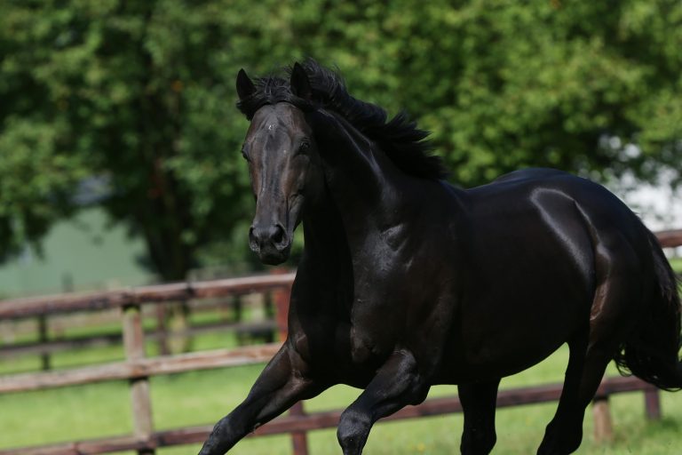 Maxios ist der Vater von Quilixios