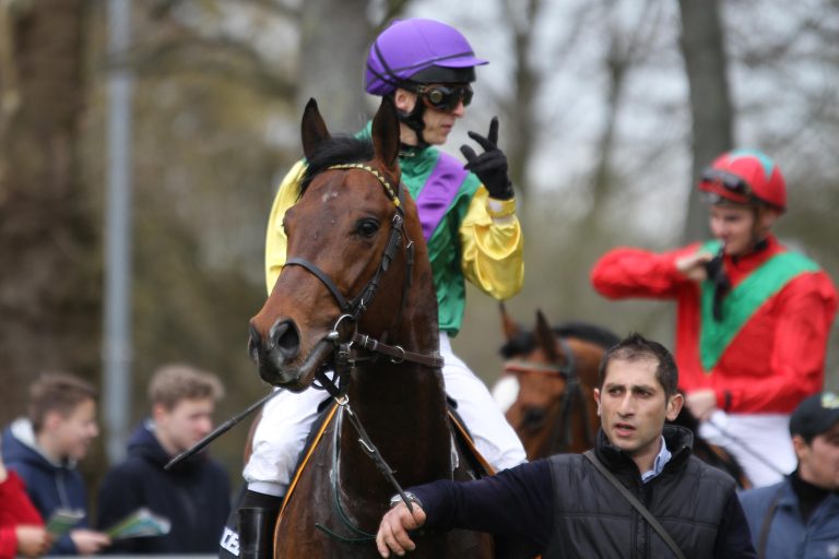 Melodino eröffnet den Weihnachts-Renntag