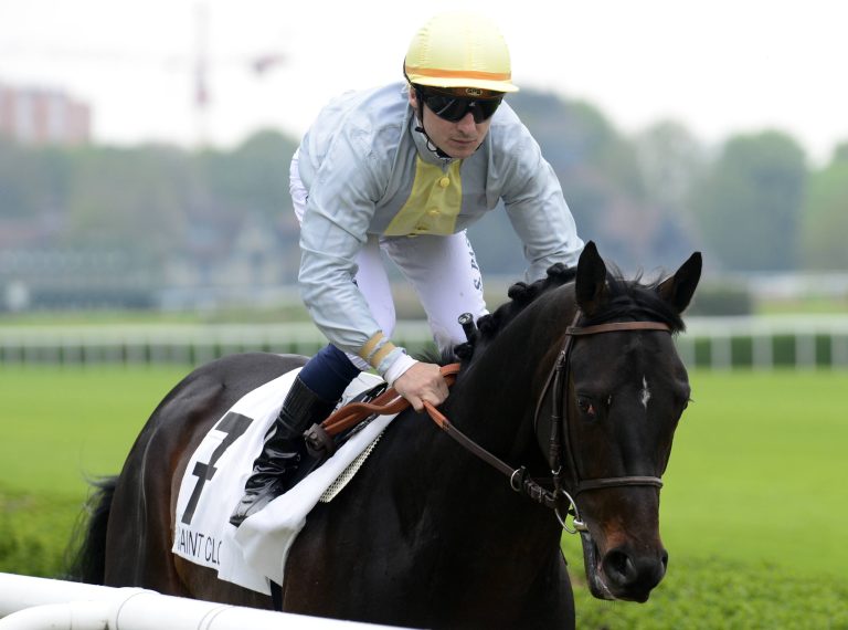 Danedream-Schwester Debutante holt Black Type