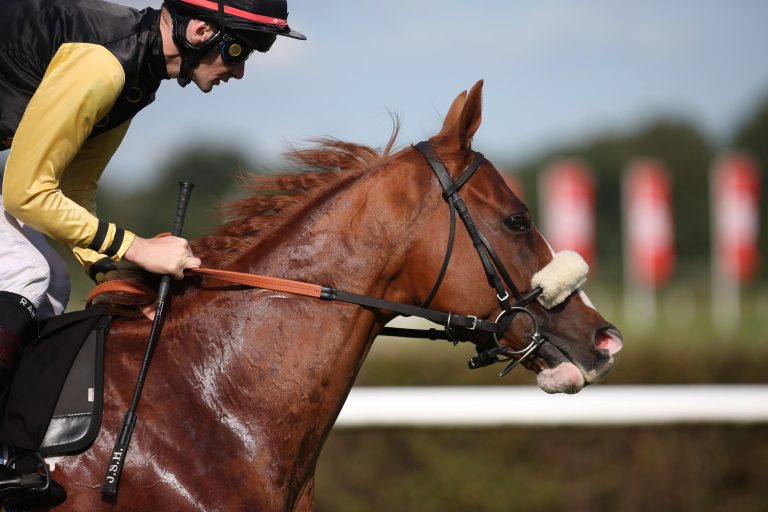 Messi again! Nächster US-Treffer für Ex-Deutschen
