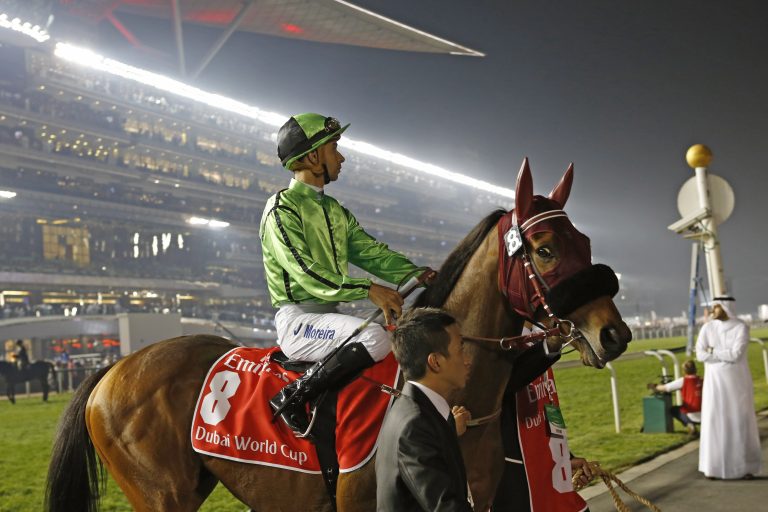 Military Attack siegt bei Debüt für neuen Trainer