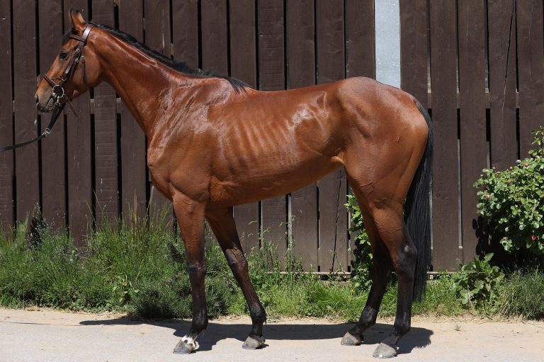 Milka legt in Australien ihre Maidenschaft ab