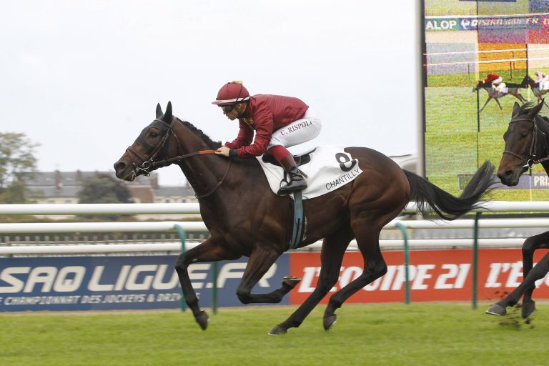 Ming Dynasty zurück auf die Erfolgsspur