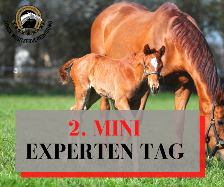 2. MINI Experten Tag am 15. April