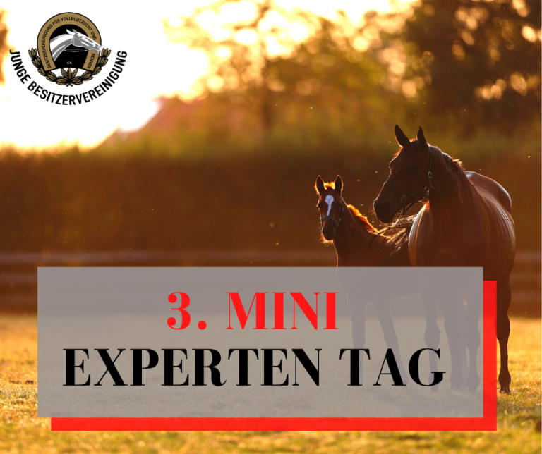 3. Mini-Expertentag findet am 19. Mai statt