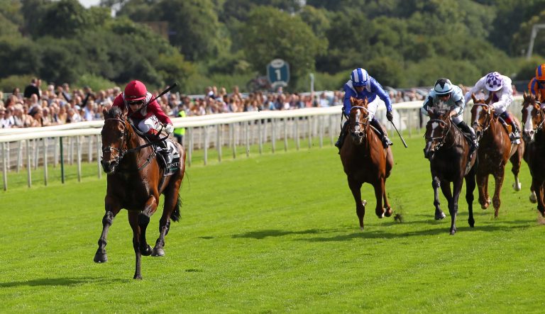 Mishriff geht nicht in den Arc! Champion Stakes als Ziel