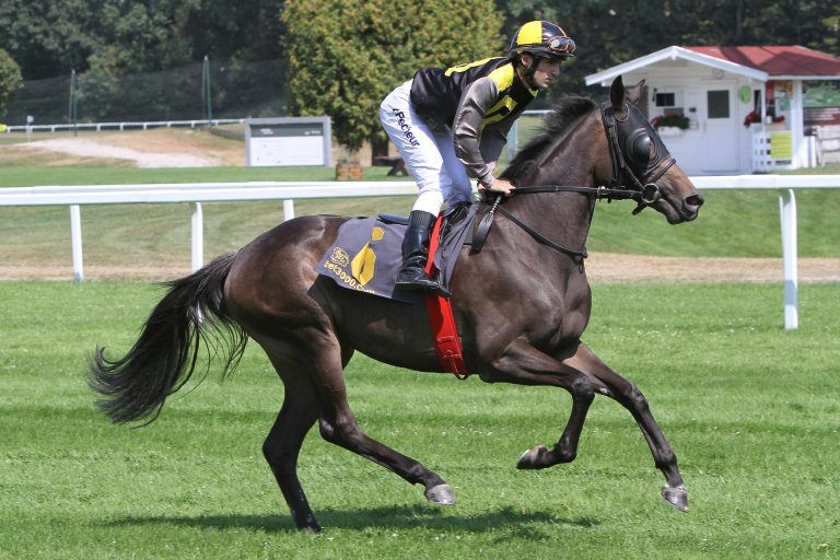 Schnelle Vollblüter und PS-starke Boliden in Riem