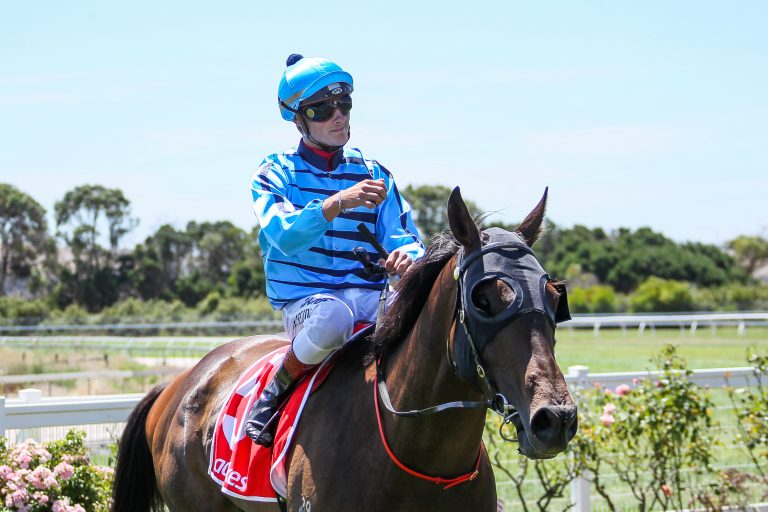 Treffer 13 und 14 – Seidl weiter in Topform