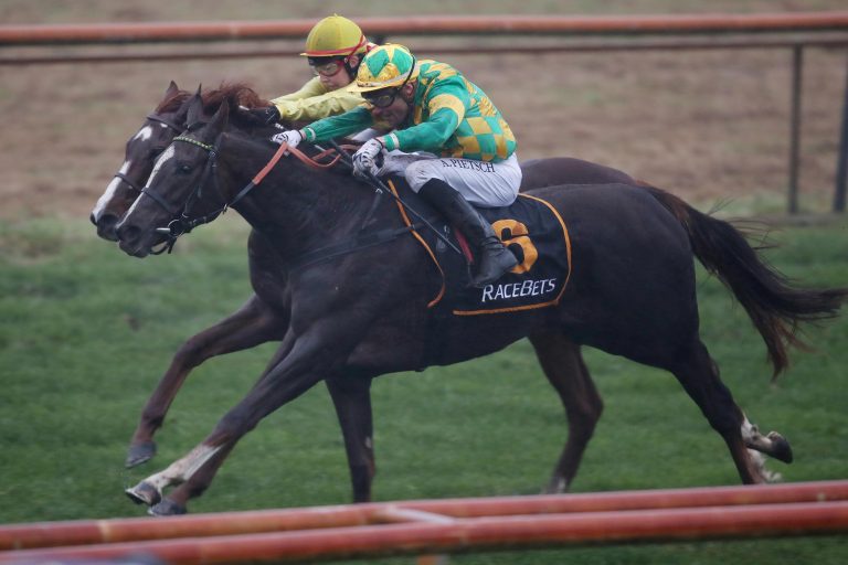 Miss Marbel mit Sieg in die Winterpause