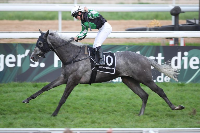 Mister Wonderful und Cecilia Müller siegen